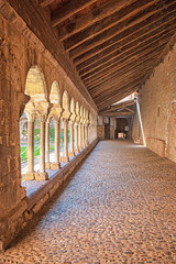 Garden of the Albi Cathedral, France