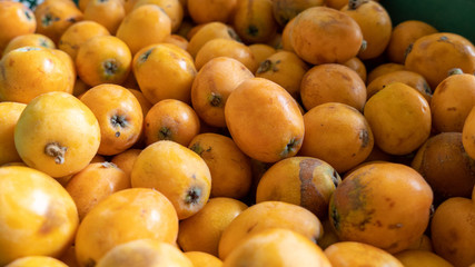 a Japanese medlar is round and small yellow fruit