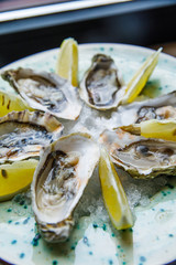 fresh and delicious oysters with lemon lie on a plate in a restaurant