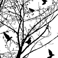Pigeon silhouettes in the trees 5