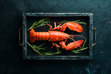 Lobster with spices on a dark background. Top view. Free copy space.