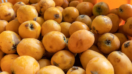 a Japanese medlar is round and small yellow fruit