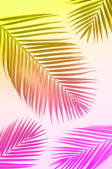 Fototapeta na wymiar Tropical palm leaves in trendy neon colors. Rainbow gradient background. Minimal summer concept. Creative flat lay with copy space. Top view of exotic leaf on vibrant color paper