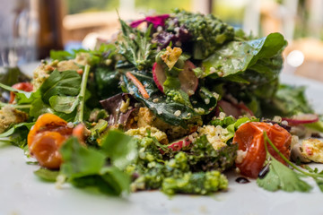 Healthy green salad