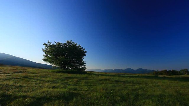 Panning shot of Davos Hill Grove,  Mount Neko,  Fourasan and Asahi,  Japan