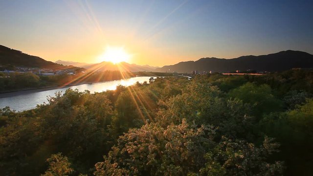 Trees on bank of Chikuma River at sunset, Ueda, Japan