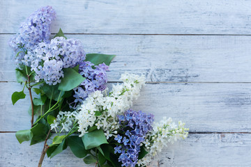 Branches of multicolored lilac on a white wooden background