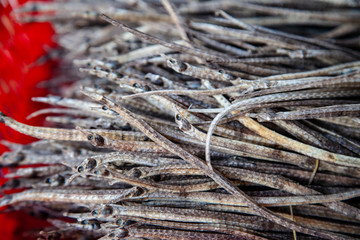 Vietnam  market sea food,