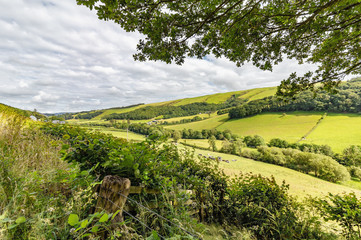 Fototapeta na wymiar Countryside in Powys, mid Wales in the UK. View of lush fields and trees in summer of 2019.