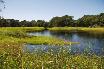 Ugly lagoon photographed in Guarapari, Espirito Santo. Southeast of Brazil. Atlantic Forest Biome. Picture made in 2007.