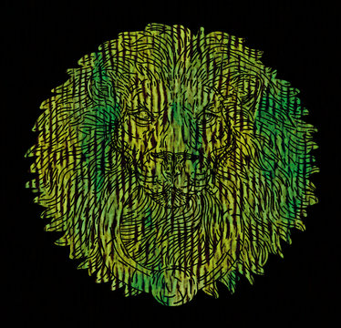 lion of juda
