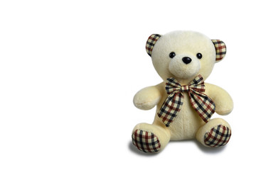 Teddy bear isolated on white background with copy space