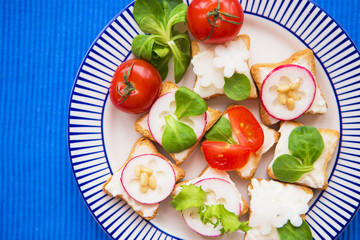light snack, canape with radish and cherry tomatoes lying on a striped blue plate, close-up