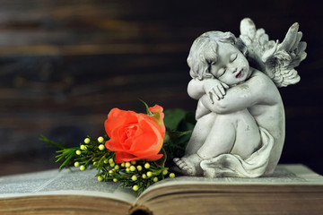 Little angel and flowers on the book