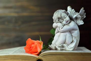 Angel and rose on the book