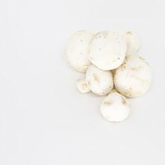 fresh mushrooms isolated on white background