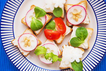 light snack, canape with radish and cherry tomatoes lying on a striped blue plate, close-up
