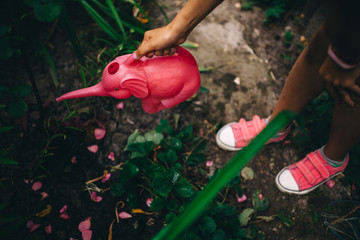Little girl watering flowers in a garden.