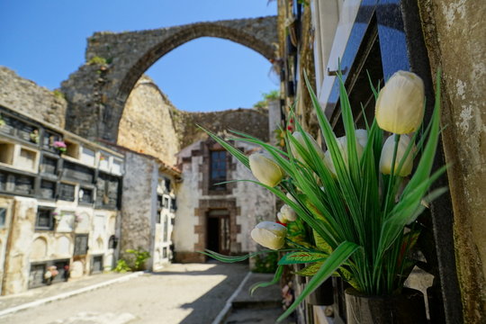Spanish Cemetery I