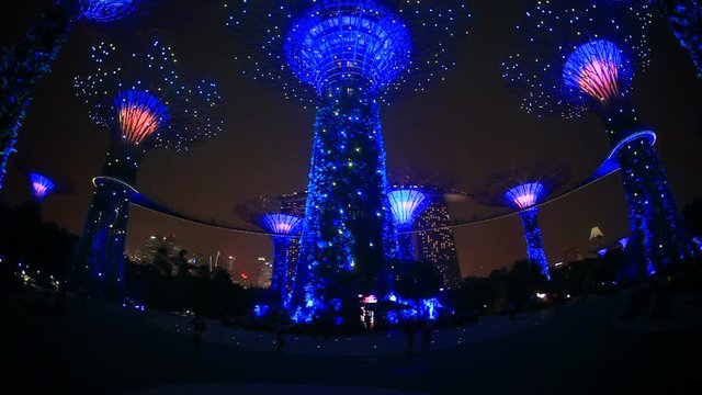Tilt up of&nbsp;OCBC&nbsp;Garden Rhapsody at night,  Singapore
