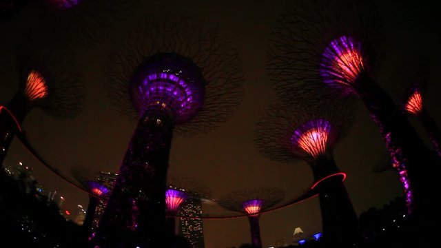 Panning shot of&nbsp;OCBC&nbsp;Garden Rhapsody at night,  Singapore