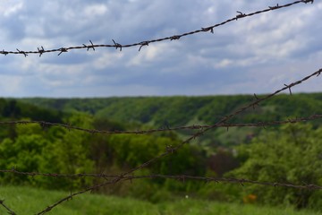 Barbed wire; The limit of liberty ....