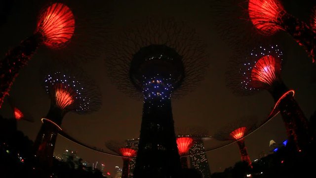 Low angle view of&nbsp;OCBC&nbsp;Garden Rhapsody at night,  Singapore