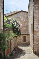 Fototapeta na wymiar Vicolo nella città medievale di Assisi, Umbria - Italia
