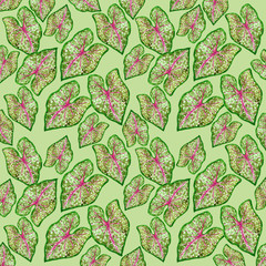 Beautiful watercolor leaf pattern tropical leaves design background