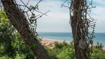 ww2 normandy D-day Omaha beach