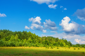 Fototapeta na wymiar Summer nature on sunny morning. Scenic green nature landscape with blue sky and clouds.