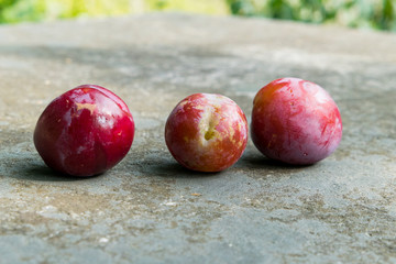 three fresh plums on concrete with garden view