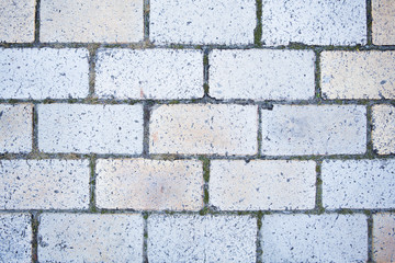 Fototapeta premium texture of a brick wall, close-up