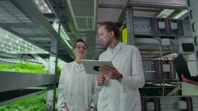People in white coats walk around a modern farm collecting statistics for analysis and debating the success of genetic engineering. The concept of the modern farm of the future