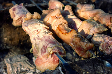 Shish kebab on skewers is fried on a brazier made of stones in the forest.