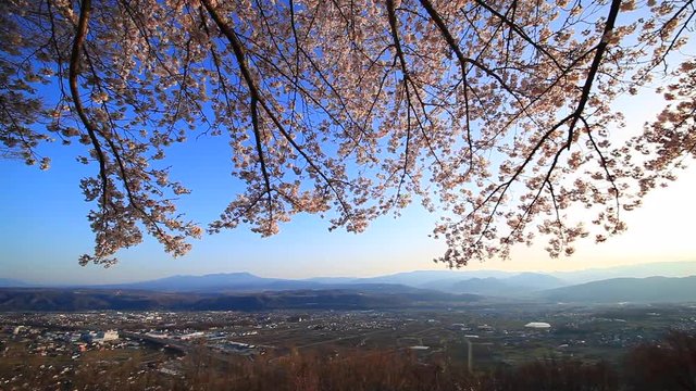 View of blooming trees and mountains,  Nagano&nbsp;Prefecture,  Tomi&nbsp;City