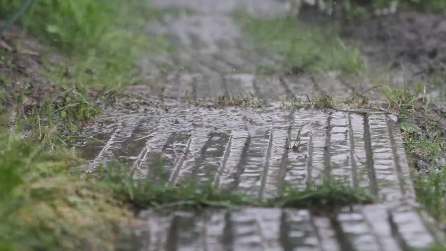 Heavy rain on natural background. Rain drop falling down
