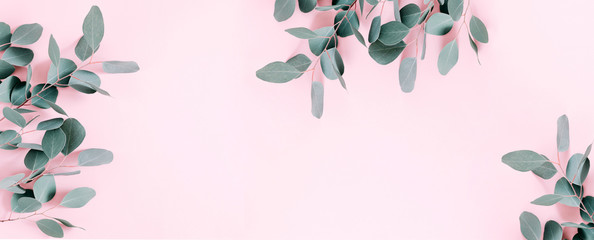 Fototapeta Eucalyptus leaves and branches on pastel pink background. Eucalyptus branches pattern. Flat lay, top view, copy space, banner obraz