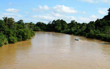 river of murky water