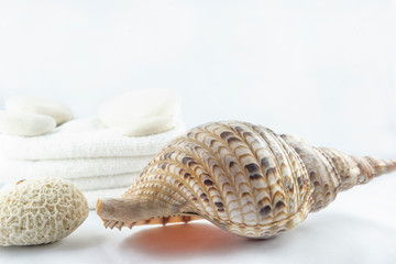 Spa and body care concept/Beautiful seashell, massage stones and white towels on the white background with copy space