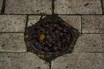 Background or texture from a broken and equal tile with patches of light and drops. Stone blocks on the sidewalk.