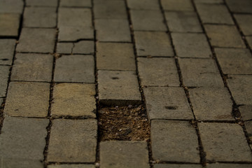 Background or texture from a broken and equal tile with patches of light and drops. Stone blocks on the sidewalk.