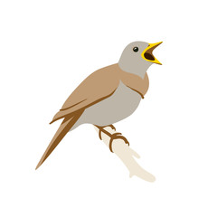Singing nightingale on a twig