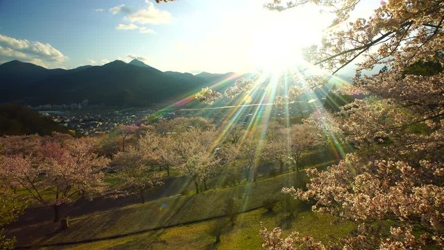 View of blooming trees and mountains,  Nagano&nbsp;Prefecture,  Chikuma&nbsp;City