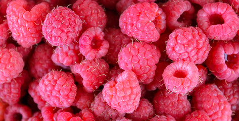 berry raspberry background