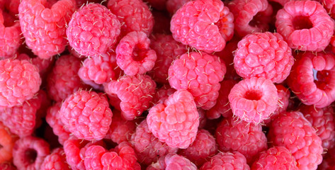berry raspberry background