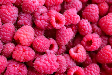 berry raspberry background