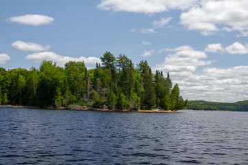 lake in deep forest