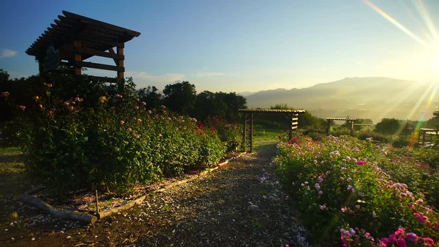 View of garden and mountains,  Ueda City,  Nagano Prefecture