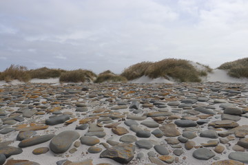 colourful pebble beach with sandy dunes in background 